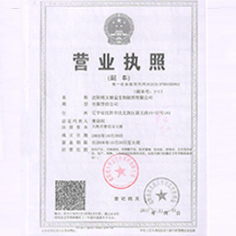 营业执照2017年-副本
